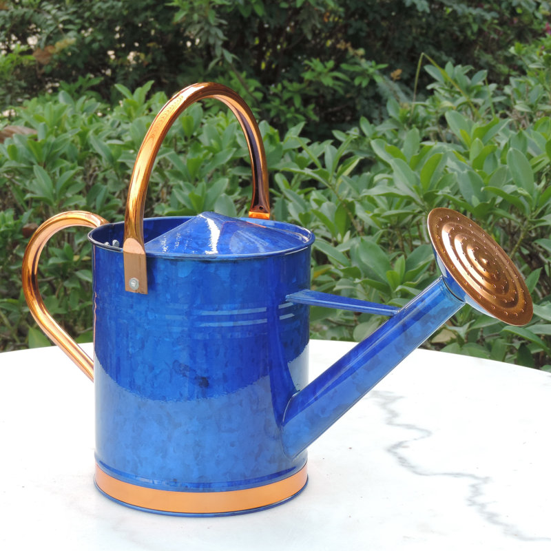 Griffith Creek Designs Deluxe 1 Gallon Watering Can & Reviews Wayfair